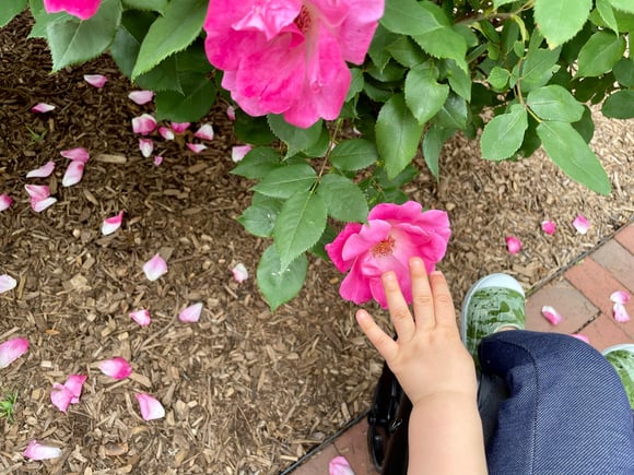 Example of outdoor sensory activities for preschoolers